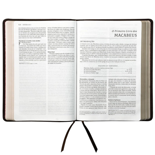 Bíblia Sagrada Católica | NTLH | Letra Grande | Couro Soft Marrom