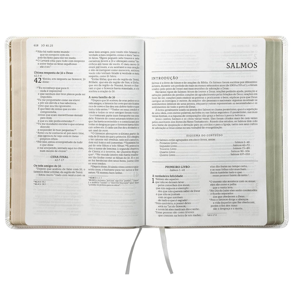 Bíblia Sagrada Católica | NTLH | Letra Grande | Couro Soft Branca