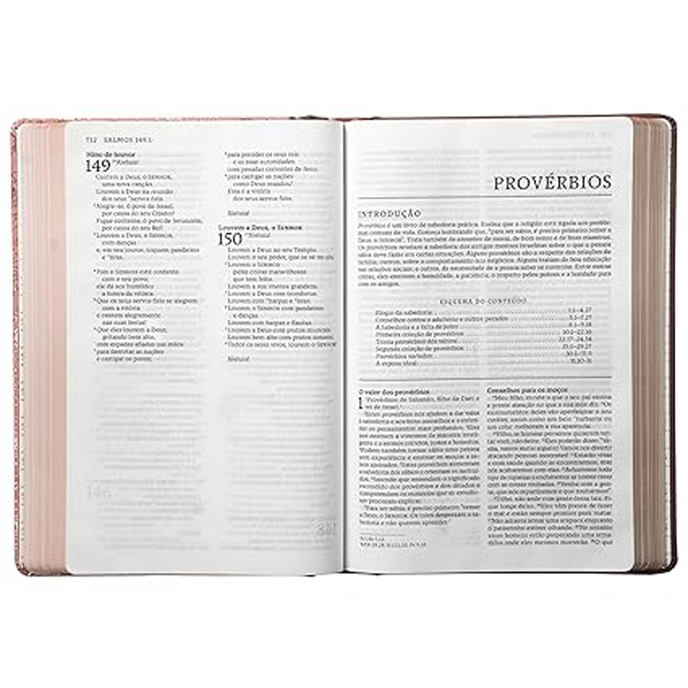 Bíblia Sagrada Católica | NTLH | Letra Grande | Capa Dura Rosa com Lombada em Tecido