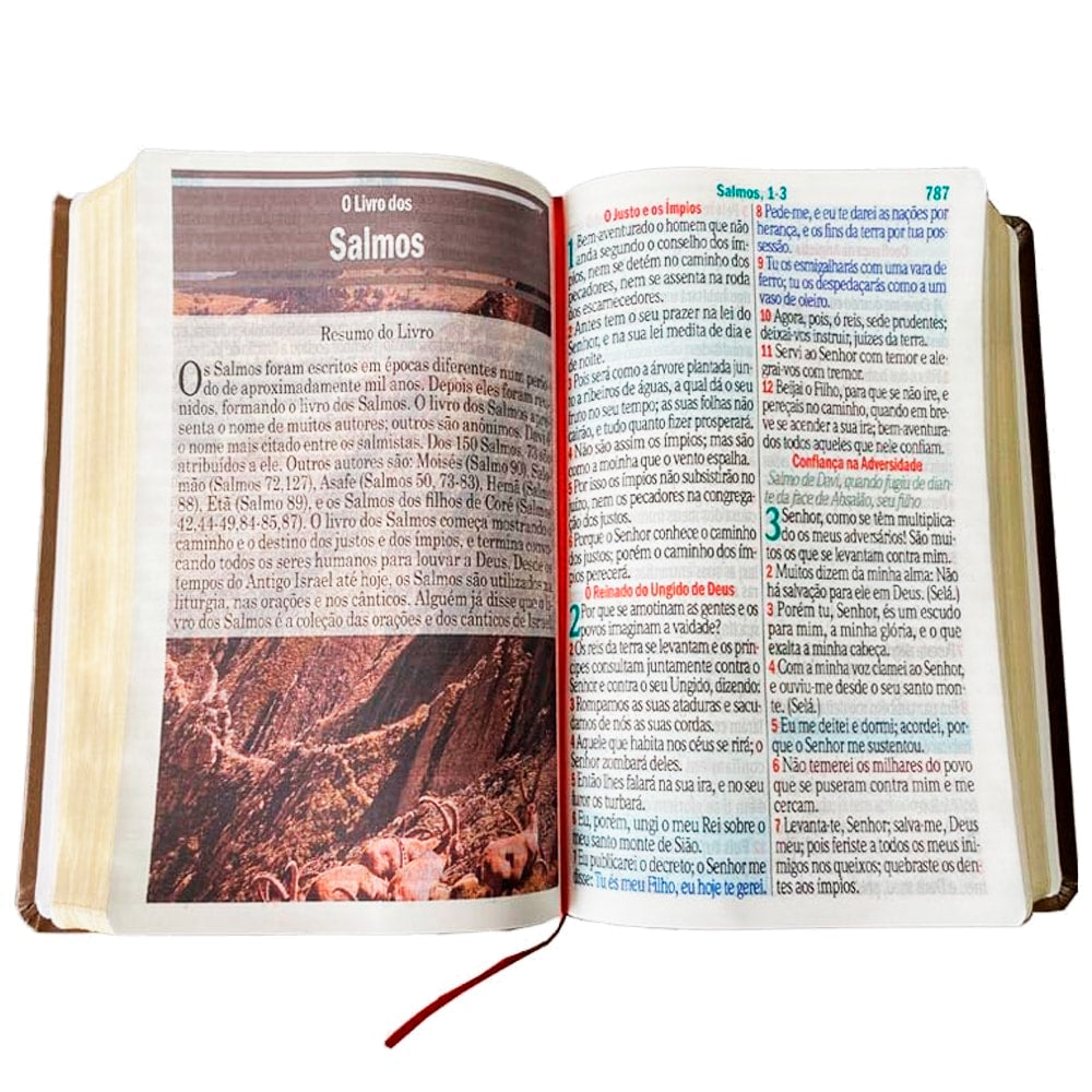 Bíblia Sagrada | Letra Jumbo | ARC | Harpa Avivada e Corinhos | Capa PU Luxo Arabesco Marrom