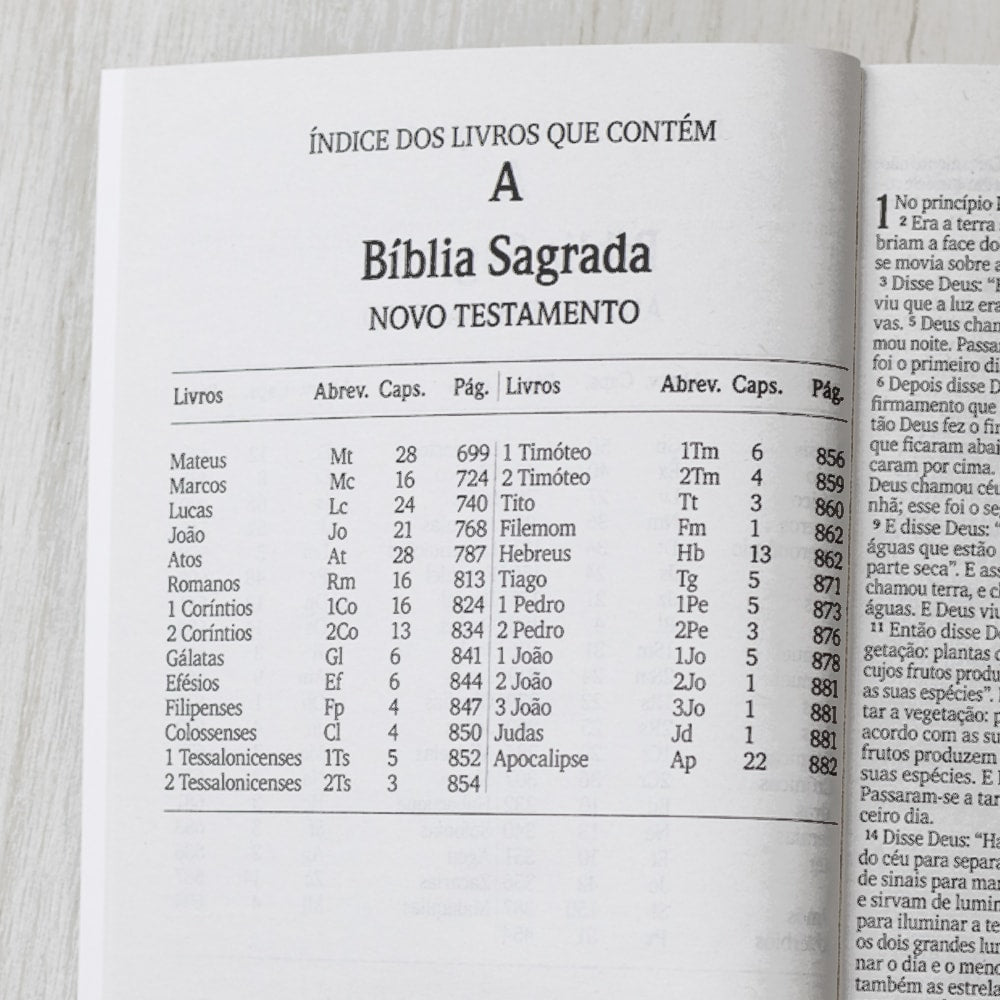 Bíblia Sagrada Lírios | NVI | Letra Grande | Capa Brochura