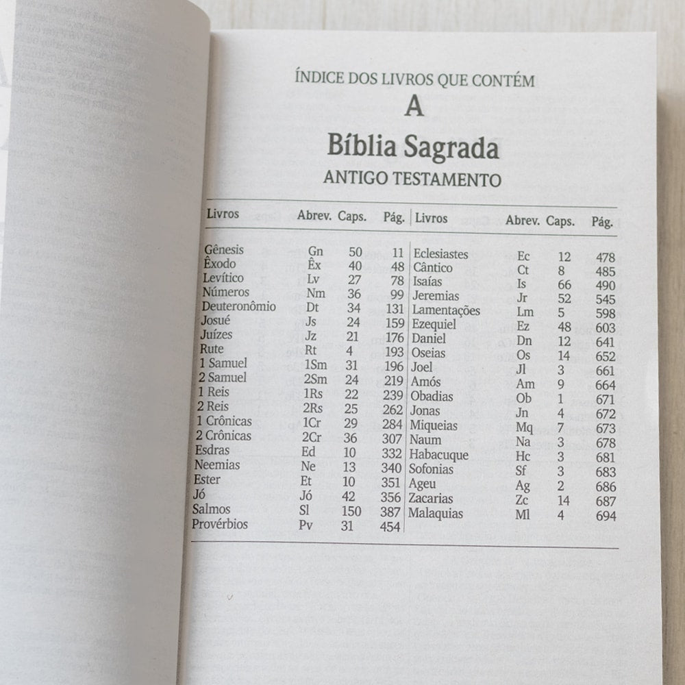 Bíblia Sagrada Lírios | NVI | Letra Grande | Capa Brochura