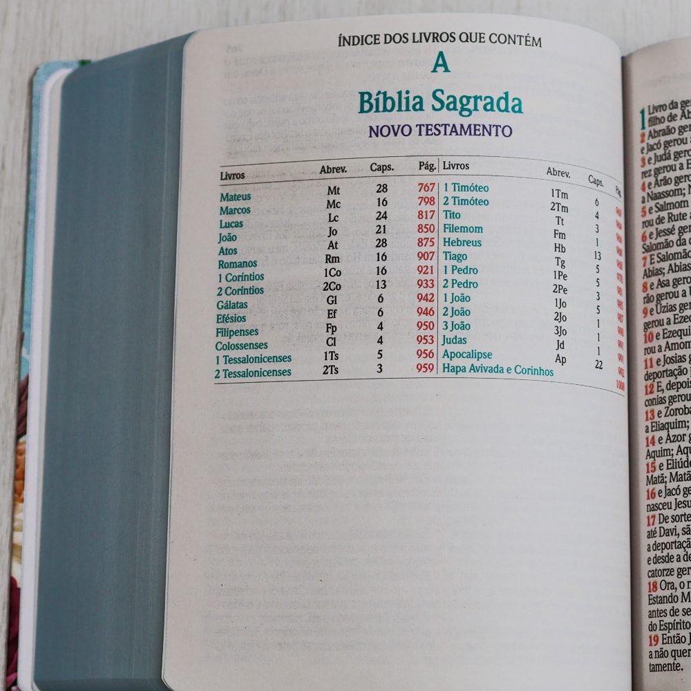 Bíblia Sagrada | ARC | Harpa Avivada e Corinhos | Jumbo | Capa Dura Azul com Flores