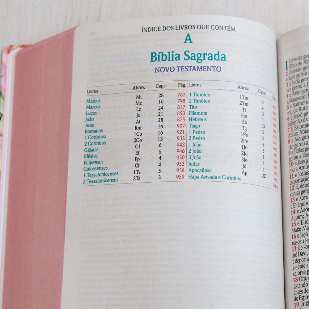 Bíblia Sagrada | ARC | Harpa Avivada e Corinhos | Jumbo | Capa Dura Preta com Flores