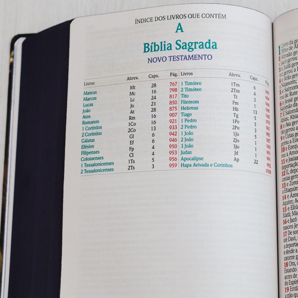 Bíblia Sagrada | ARC | Harpa Avivada e Corinhos | Jumbo | Capa Dura Leão Rei