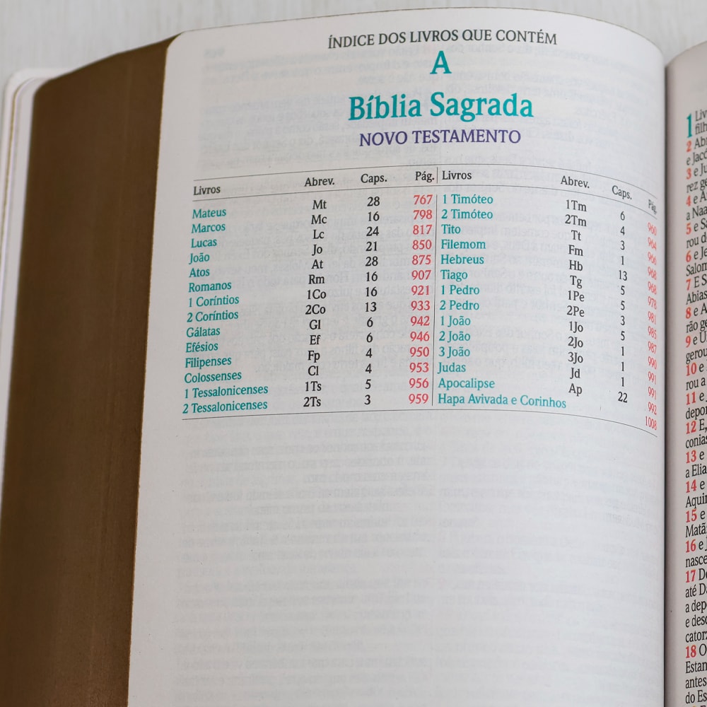 Bíblia Sagrada | ARC | Harpa Avivada e Corinhos | Jumbo | Capa Dura Pássaros