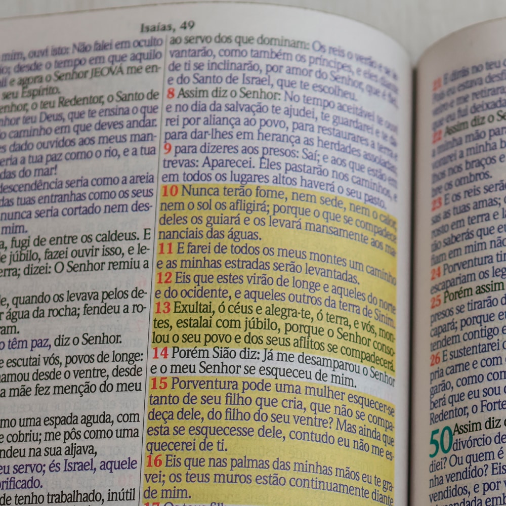 Bíblia Sagrada | ARC | Harpa Avivada e Corinhos | Jumbo | Capa Dura Pássaros
