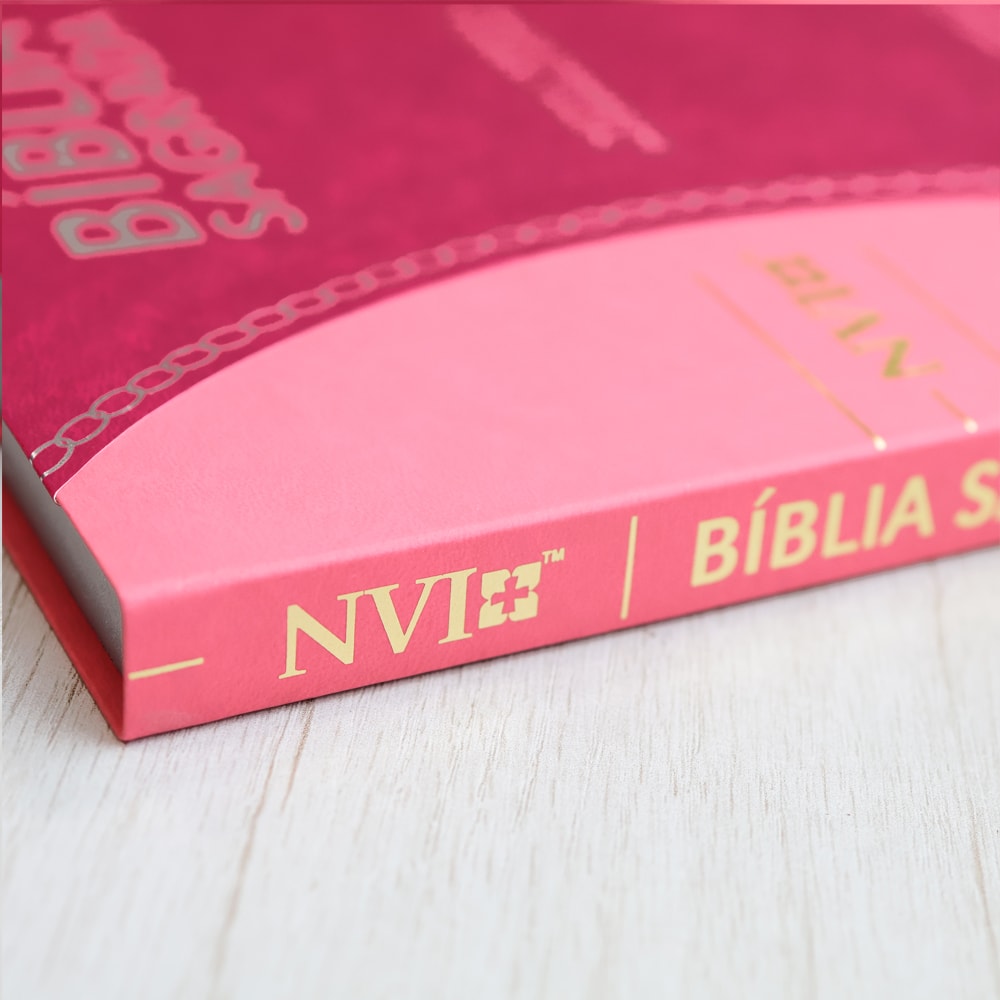 Bíblia Slim Large | NVI | Bicolor | Pink e Rosa
