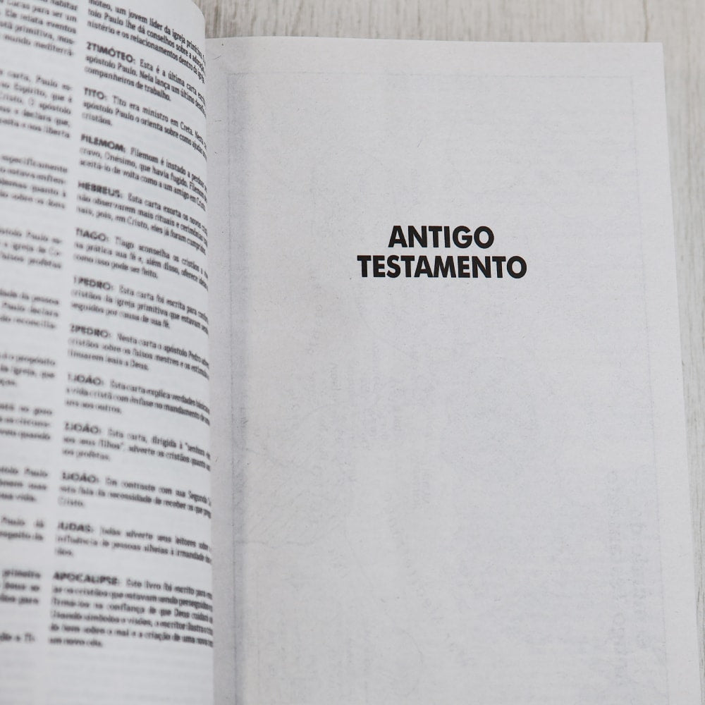 Bíblia Sagrada | NTLH | Lírios Azul | Brochura