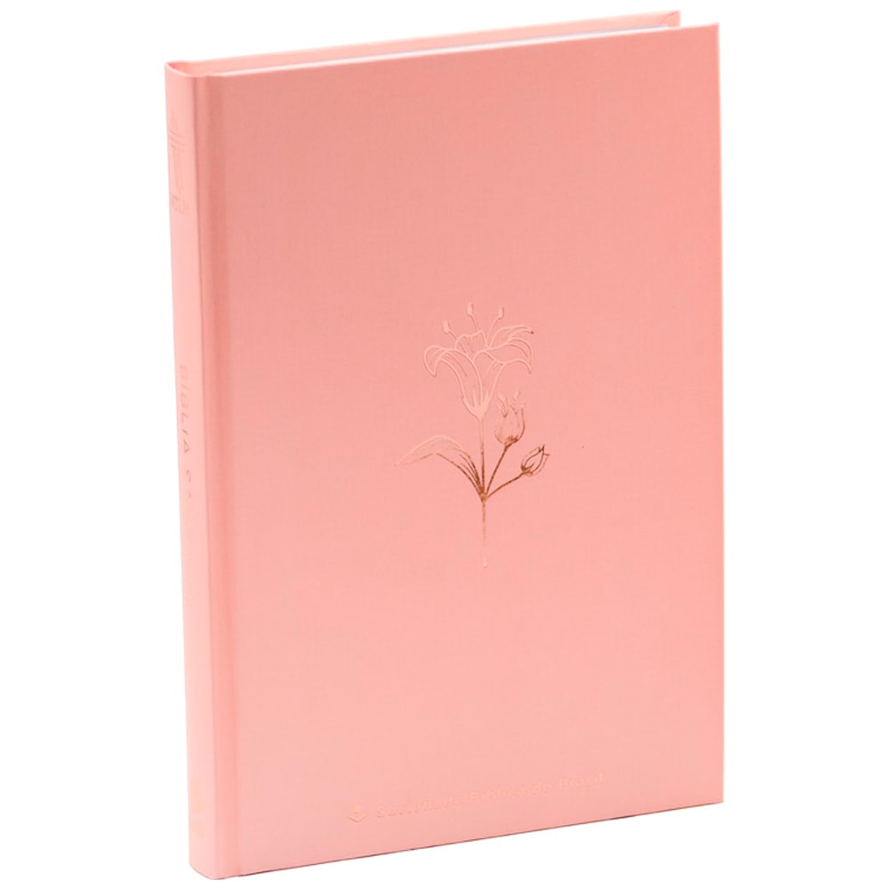Bíblia Sagrada | NTLH | Rosetan | Capa Dura