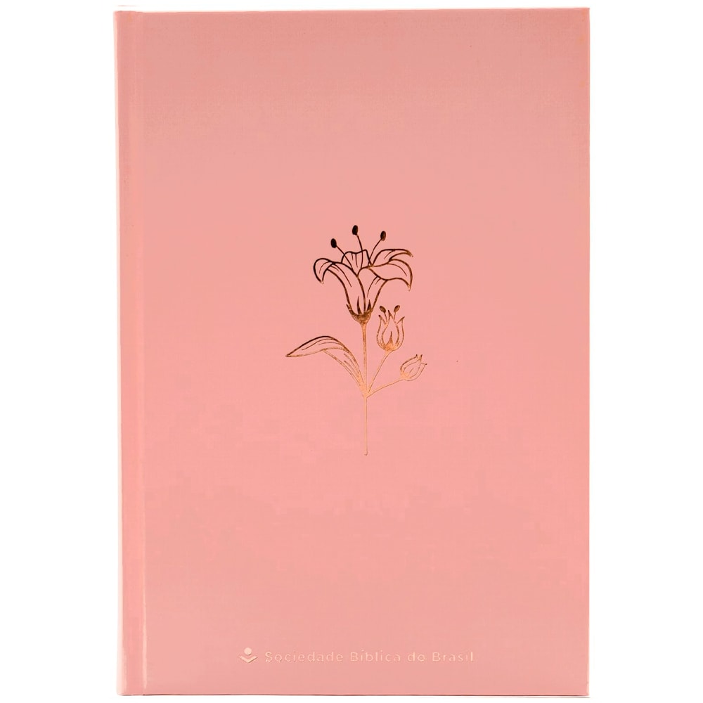 Bíblia Sagrada | NTLH | Rosetan | Capa Dura