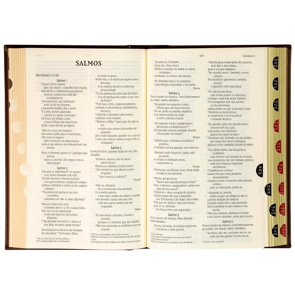 Bíblia NVI | Letras de Jesus em Vermelho | Couro-Soft Sobre Capa Dura Marrom | Timóteo