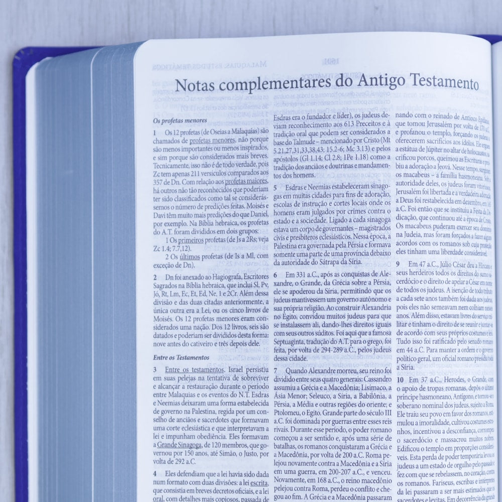 Bíblia de Estudo Dake | Capa Luxo | ACC | Letra Grande | Azul