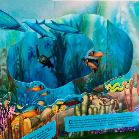 Livro 3D Carrossel | Fundo do Mar
