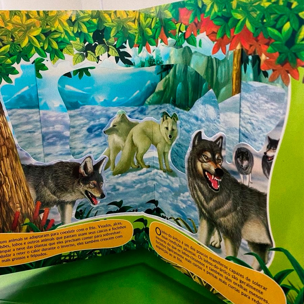 Livro 3D Carrossel | Mundo Animal