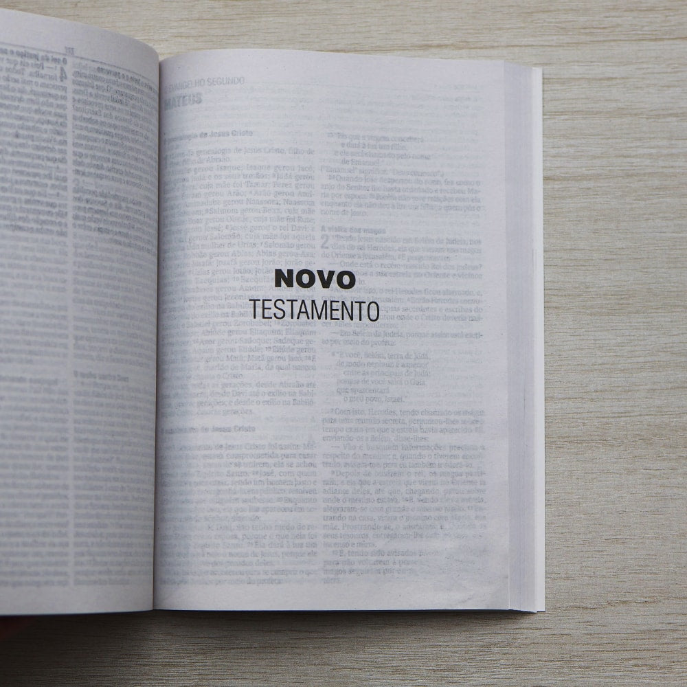 Bíblia Sagrada Outono | NAA | Letra Normal | Capa Brochura