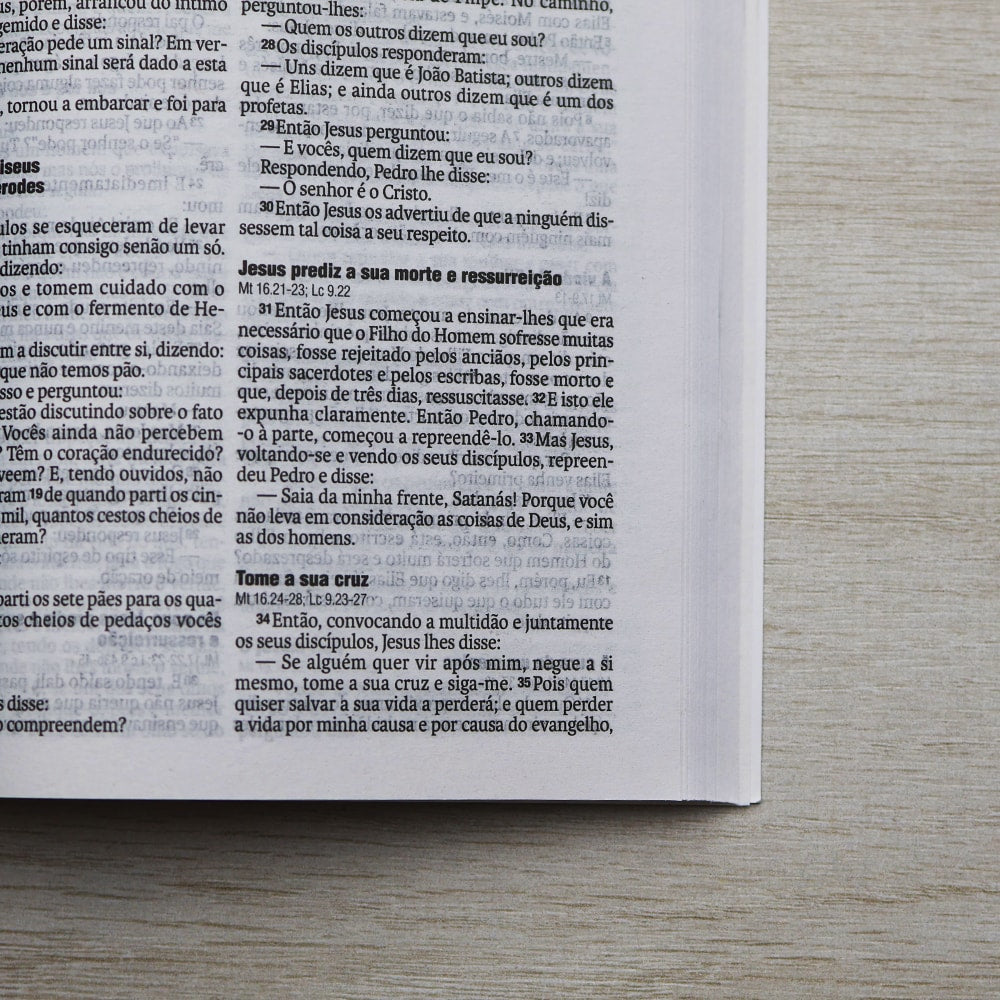 Bíblia Sagrada Outono | NAA | Letra Normal | Capa Brochura