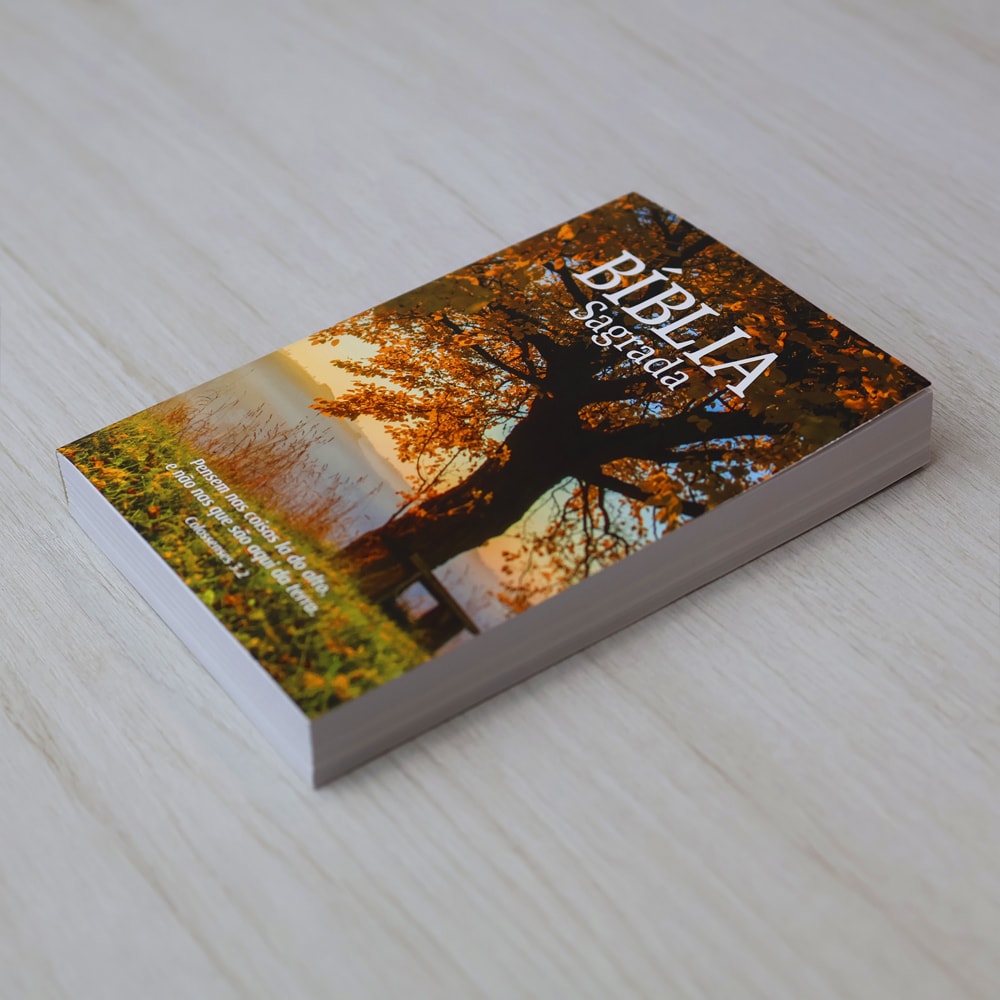 Bíblia Sagrada Outono | NAA | Letra Normal | Capa Brochura