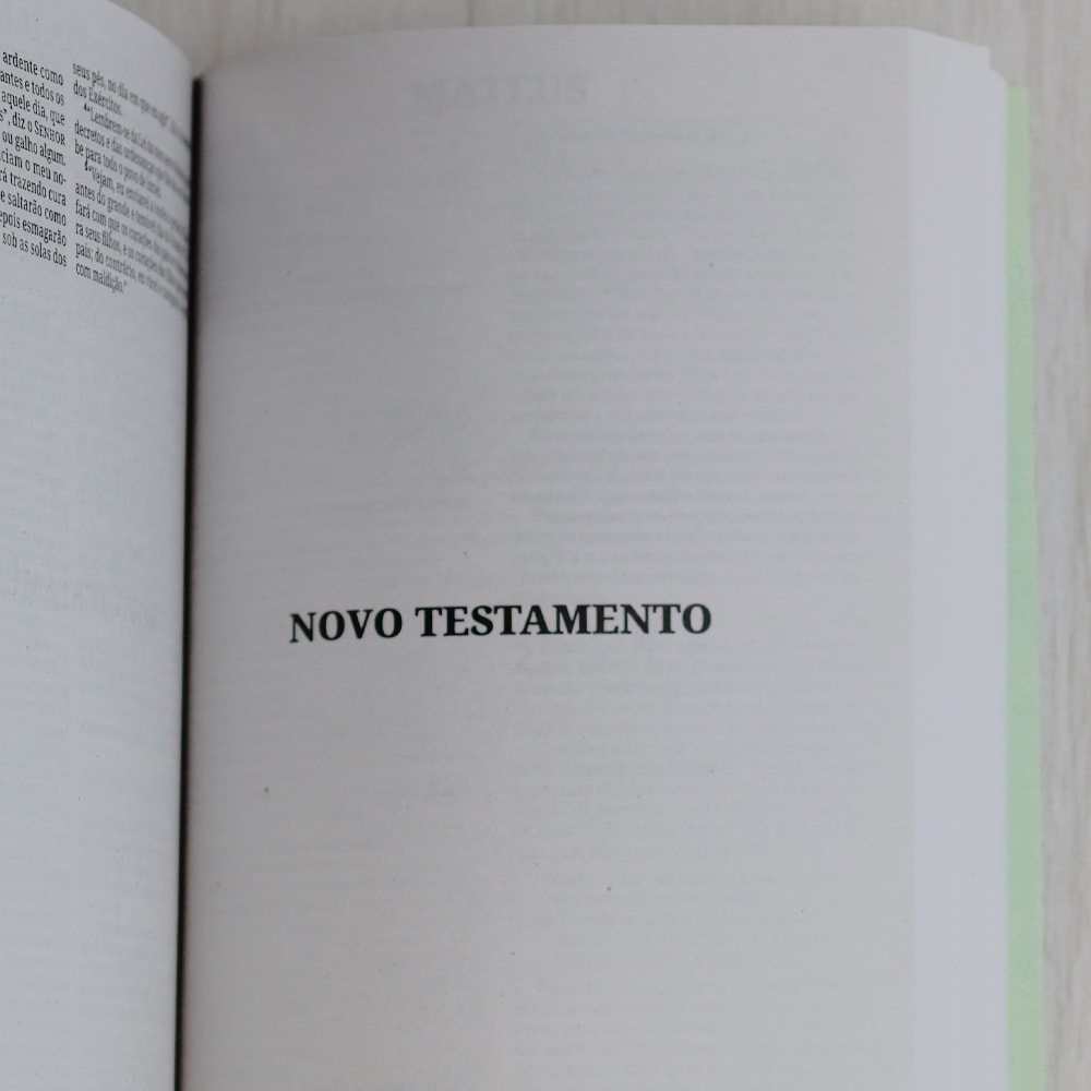 Bíblia Sagrada Árvore | NVI | Capa Brochura