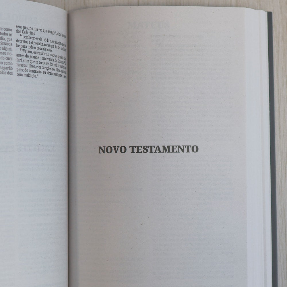 Bíblia Sagrada Leão Soberano | NVI | Capa Brochura