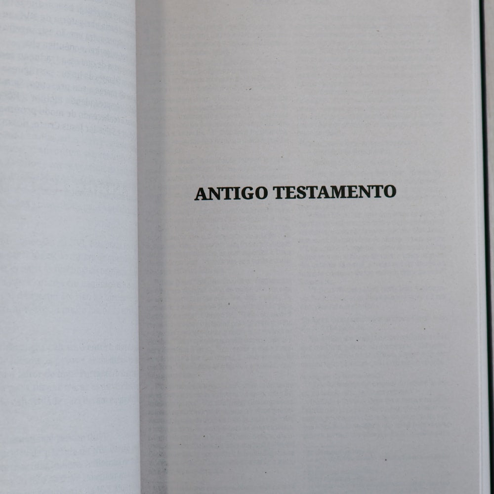 Bíblia Sagrada Leão Soberano | NVI | Capa Brochura