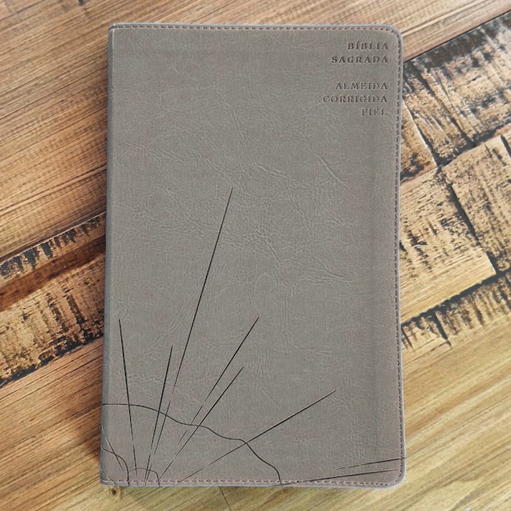 Biblia Sagrada Slim | ACF | Luxo Cinza