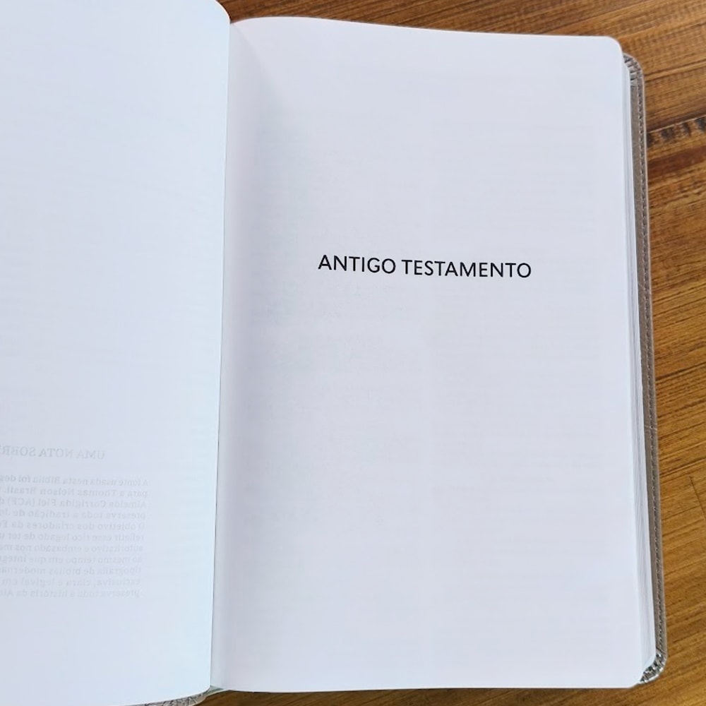 Biblia Sagrada Slim | ACF | Luxo Cinza