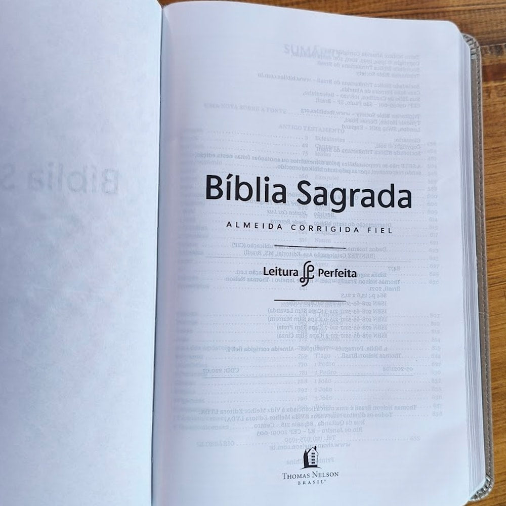 Biblia Sagrada Slim | ACF | Luxo Cinza