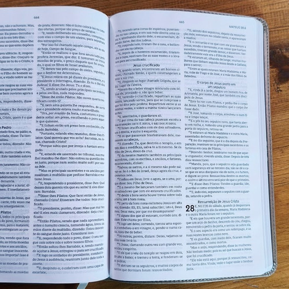 Biblia Sagrada Slim | ACF | Luxo Cinza