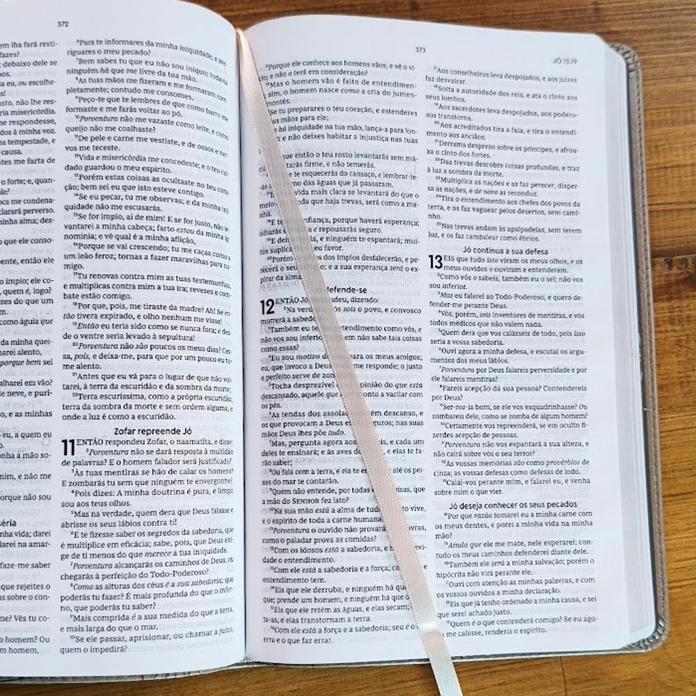 Biblia Sagrada Slim | ACF | Luxo Cinza