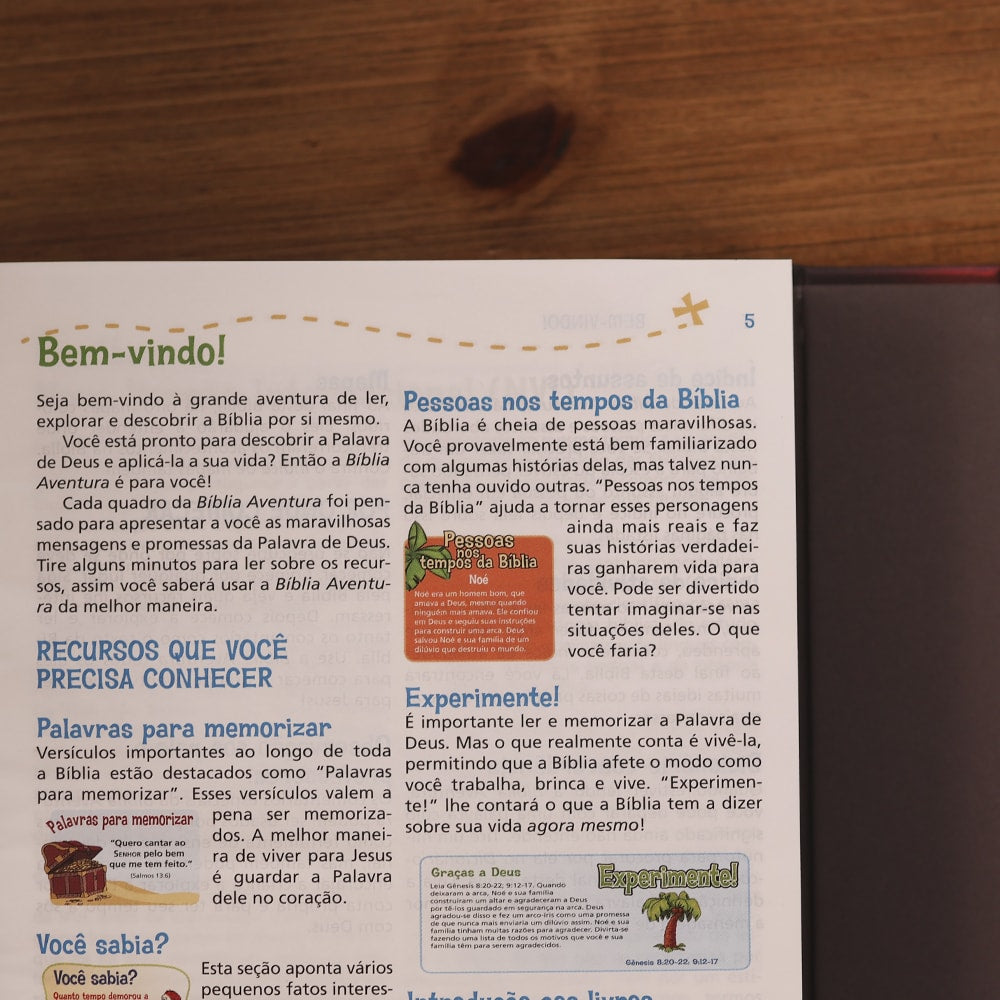 Bíblia Aventura Para Crianças | NVI | Leitura Perfeita | Capa Dura Leão com Fechamento em Imã