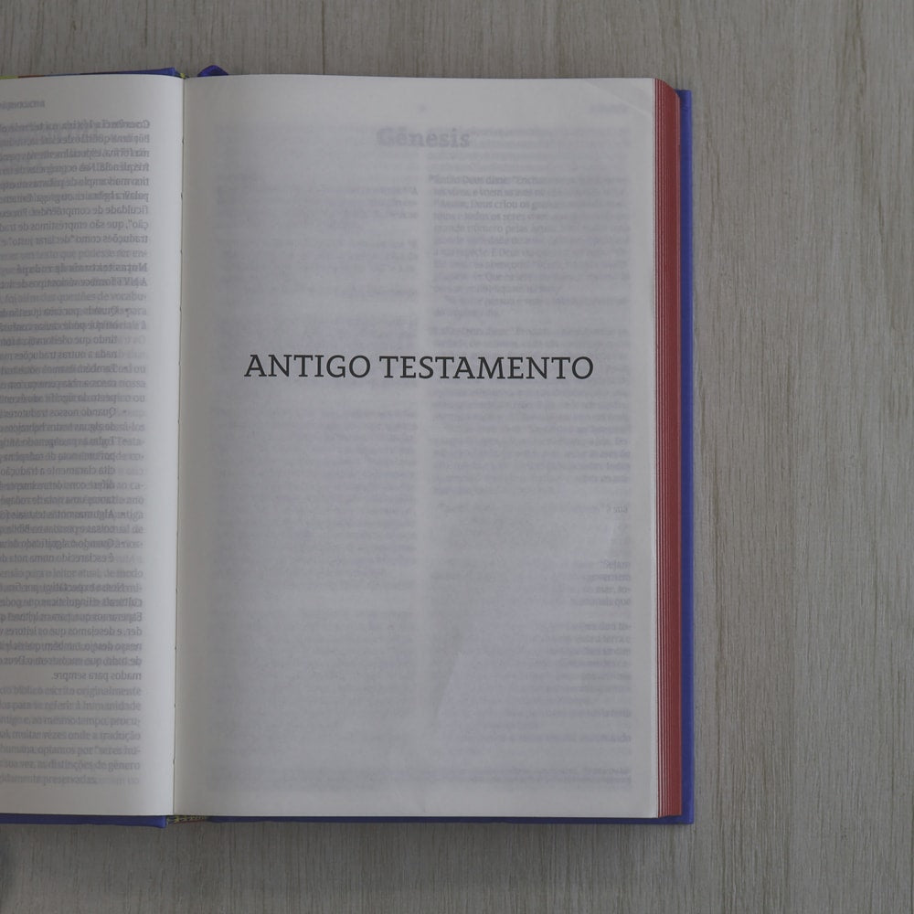 Bíblia Sagrada Isaías 55 | NVT | Capa Dura