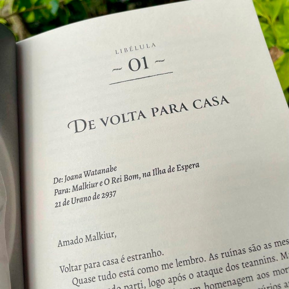 Todas as Minhas Libélulas | Gabrielli Casseta