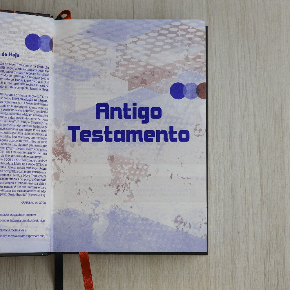 Bíblia Sagrada Extreme Teen | Leão | NTLH | Capa Dura