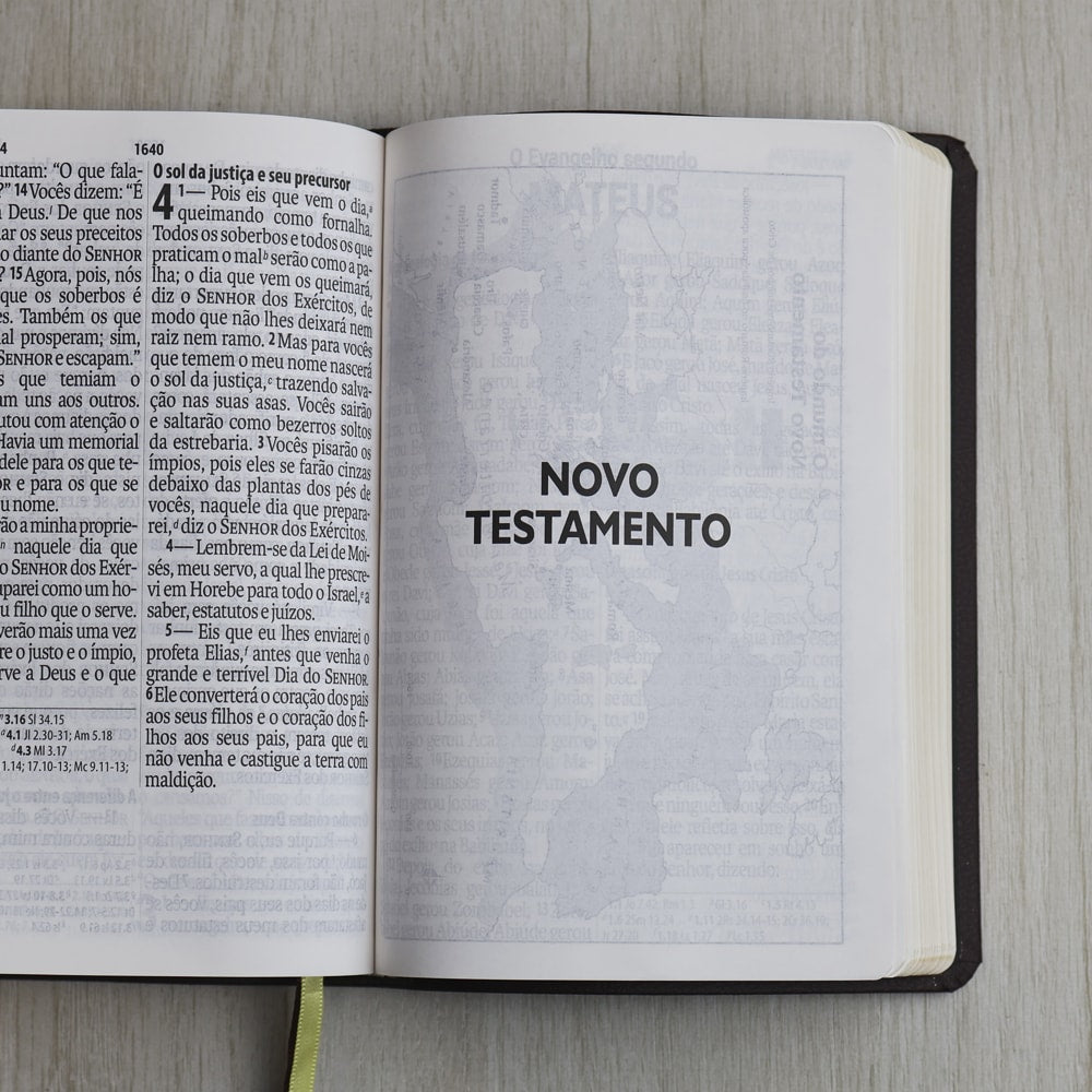 Bíblia Sagrada | Letra Supergigante | NAA | Capa Luxo Vinho Folha
