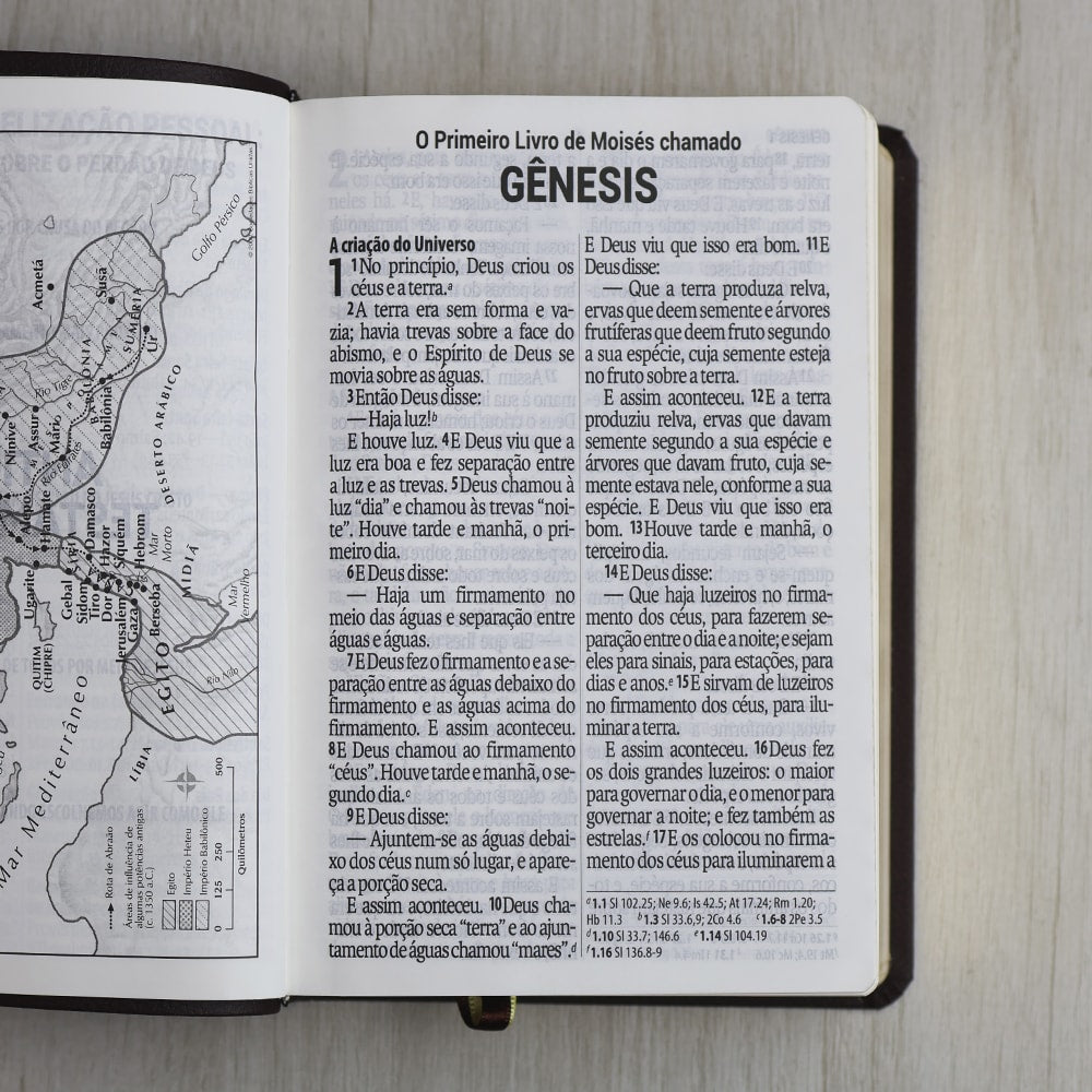 Bíblia Sagrada | Letra Supergigante | NAA | Capa Luxo Vinho Folha