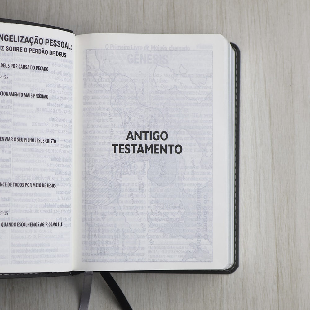 Bíblia Sagrada | Letra Supergigante | NAA | Capa Luxo Cinza Peixe