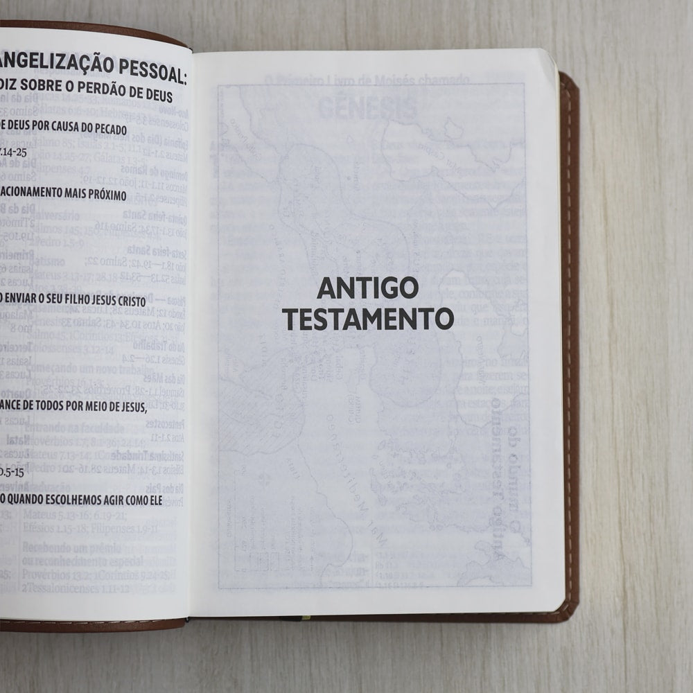 Bíblia Sagrada | Letra Supergigante | NAA | Capa Marrom Leão