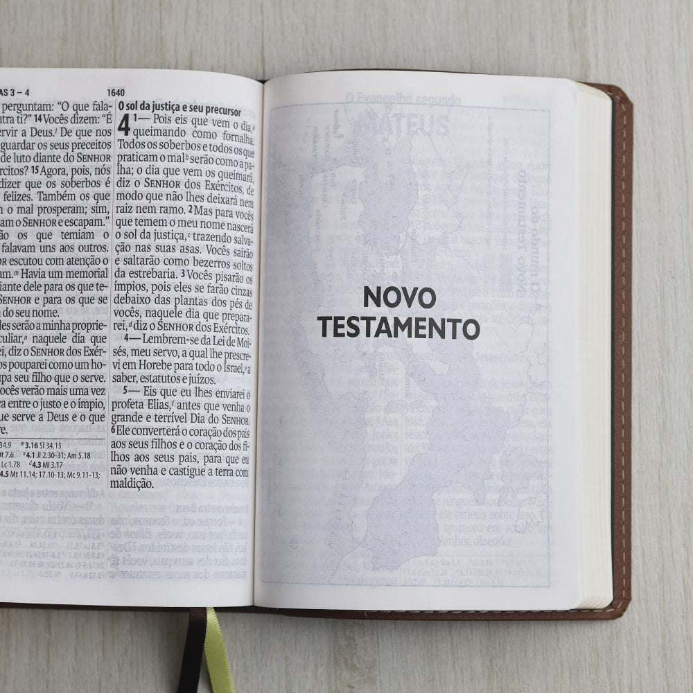 Bíblia Sagrada | Letra Supergigante | NAA | Capa Marrom Leão
