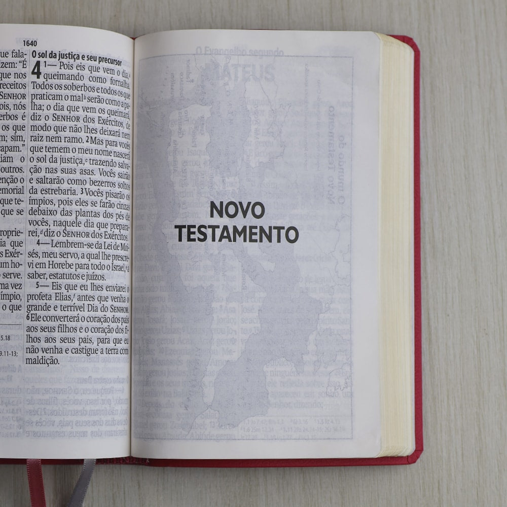 Bíblia Sagrada | Letra Supergigante | NAA | Capa Luxo Rosa