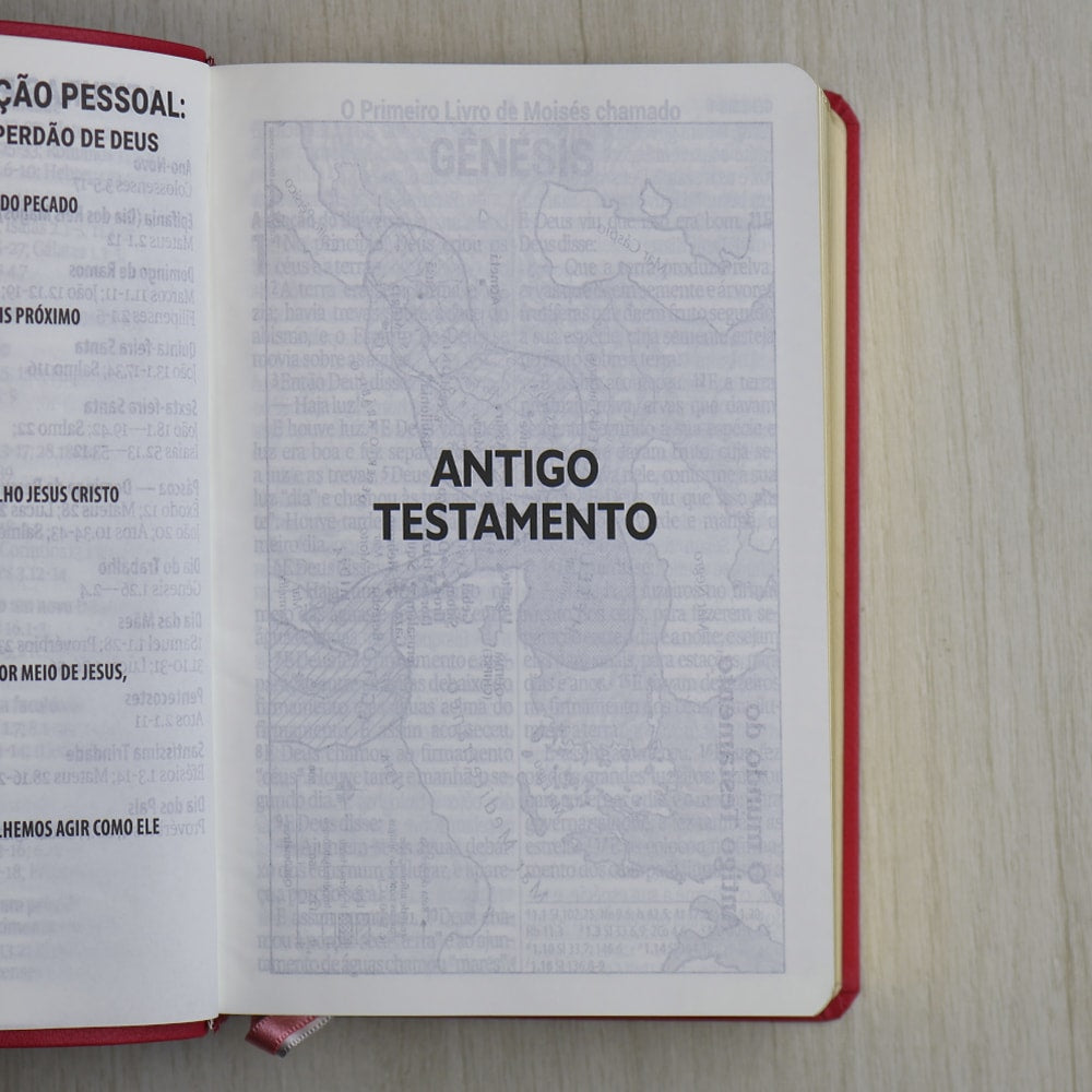 Bíblia Sagrada | Letra Supergigante | NAA | Capa Luxo Rosa