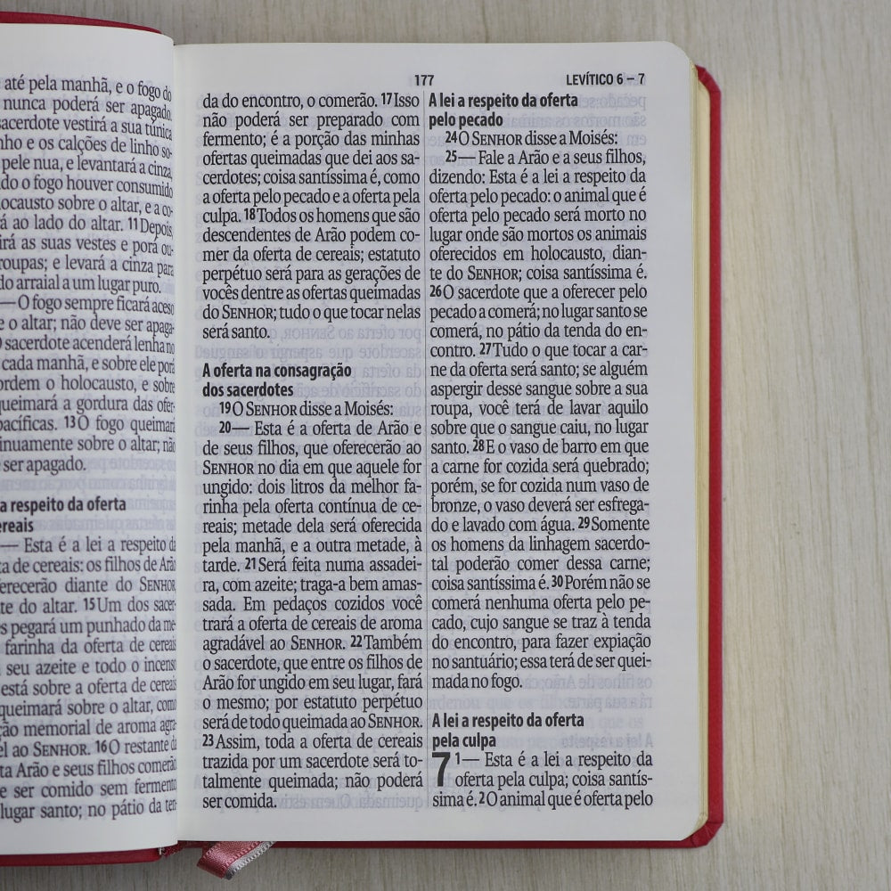Bíblia Sagrada | Letra Supergigante | NAA | Capa Luxo Rosa