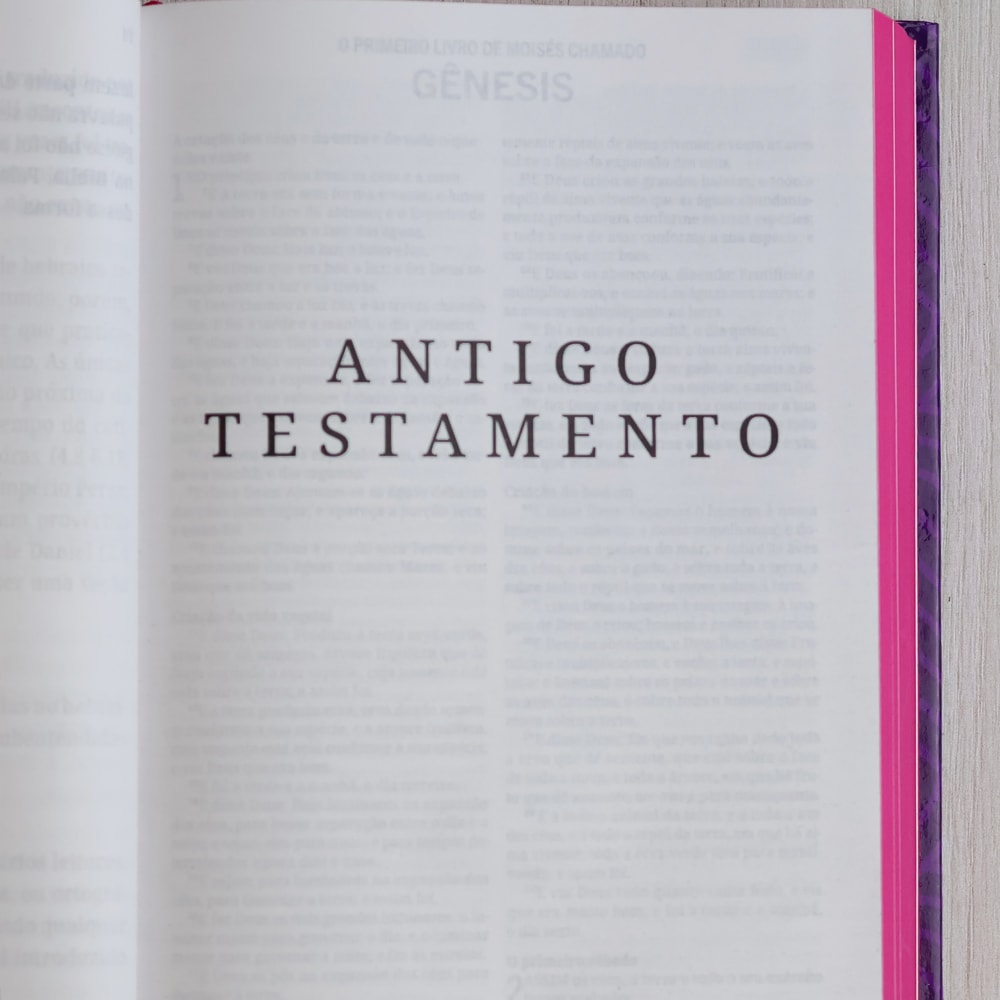 Bíblia Sagrada | ACF | Não Temas