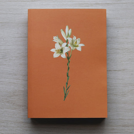 Bíblia Sagrada Lírios Laranja | NAA | Letra Normal | Capa Ilustrada