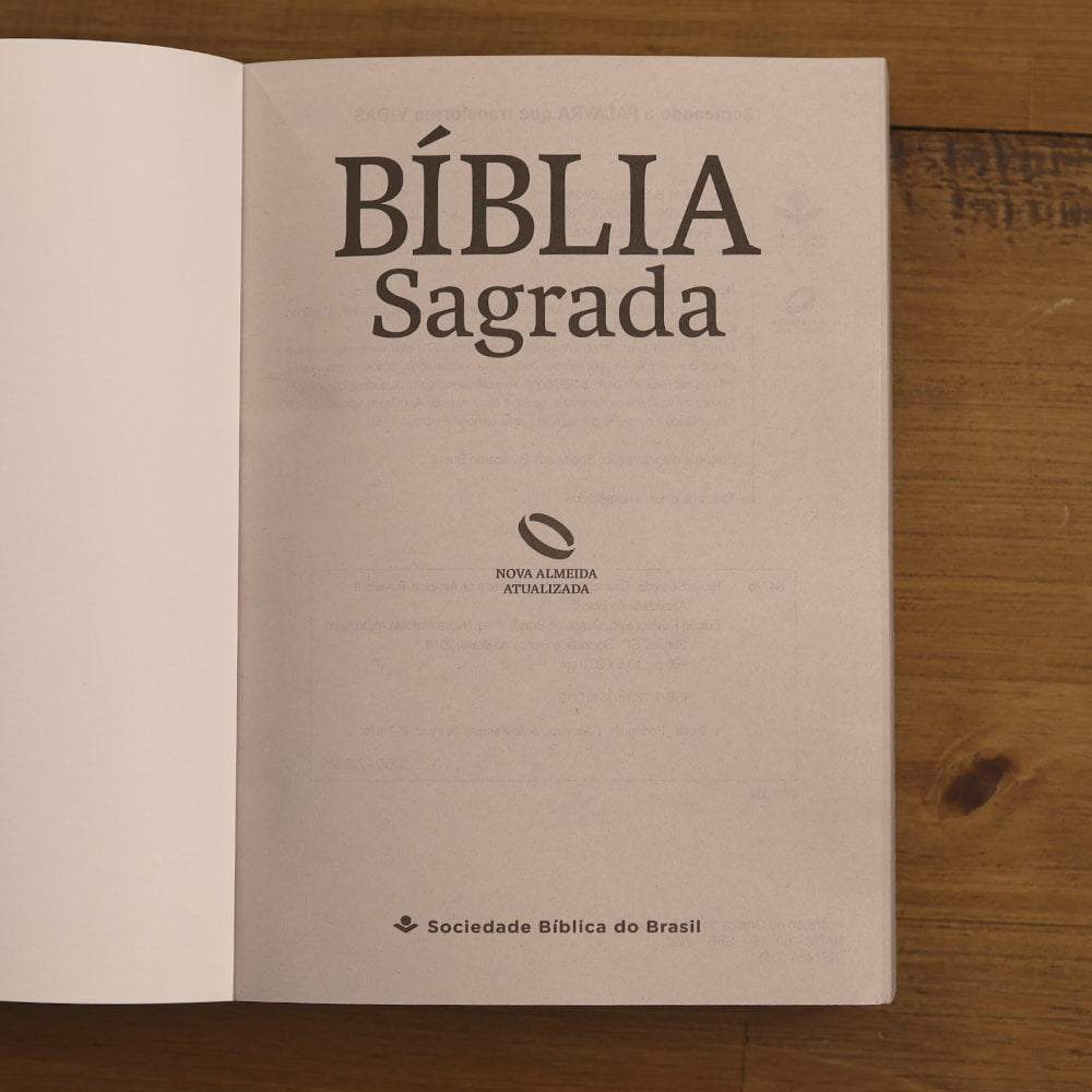 Bíblia Sagrada Lâmpada Salmos 119 | NAA | Letra Normal | Capa Ilustrada