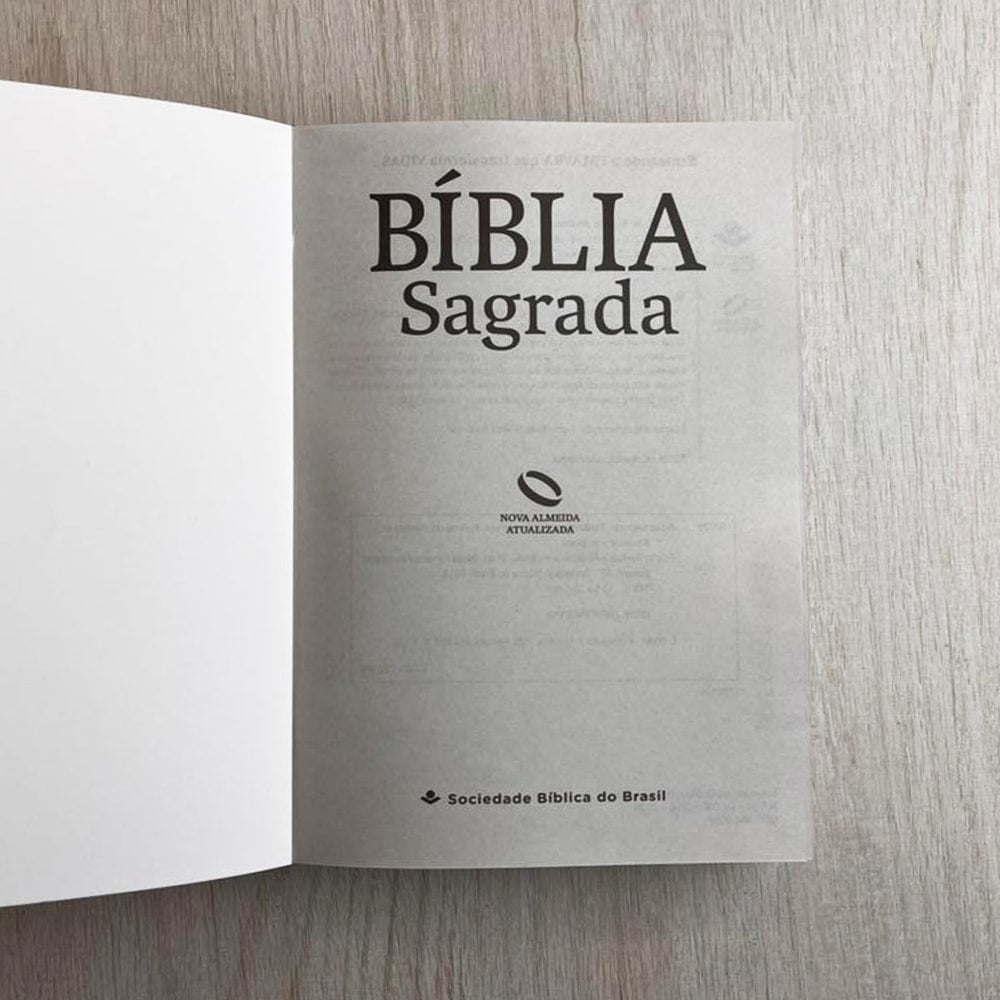 Bíblia Sagrada Porque Deus Amou João 3:16 | NAA | Letra Normal | Capa Ilustrada