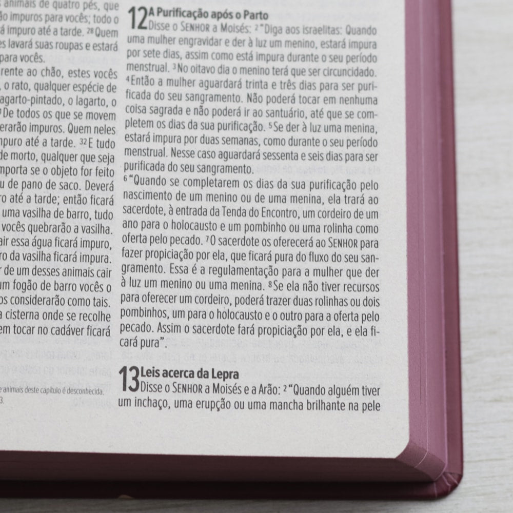 Bíblia Sagrada Feminina | NVI | Letra Normal | Capa Dura