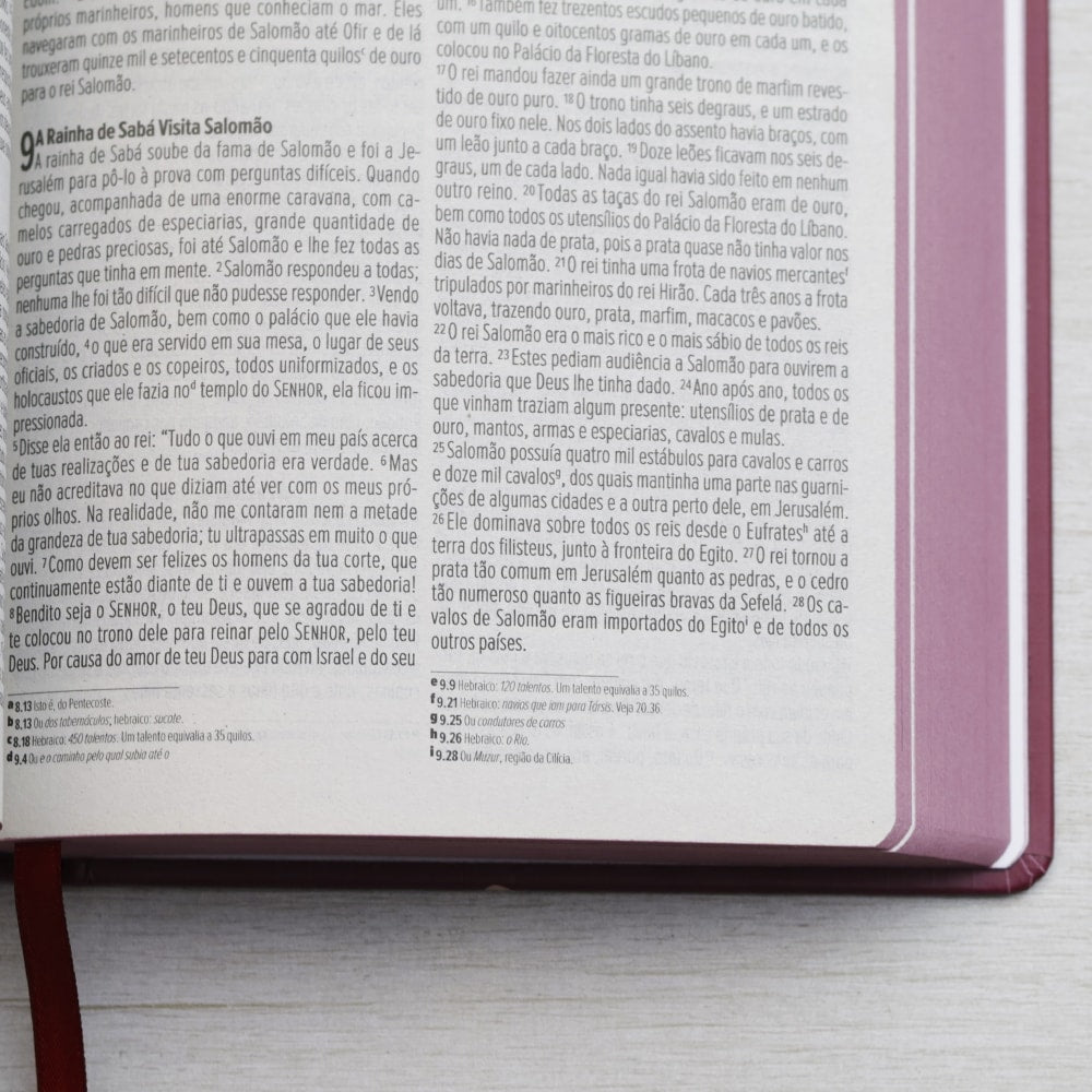 Bíblia Sagrada Feminina | NVI | Letra Normal | Capa Dura