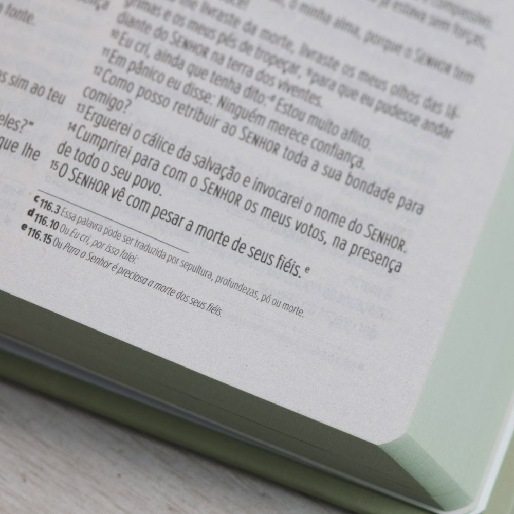 Bíblia Sagrada Cruz | NVI | Letra Normal | Capa Dura Verde