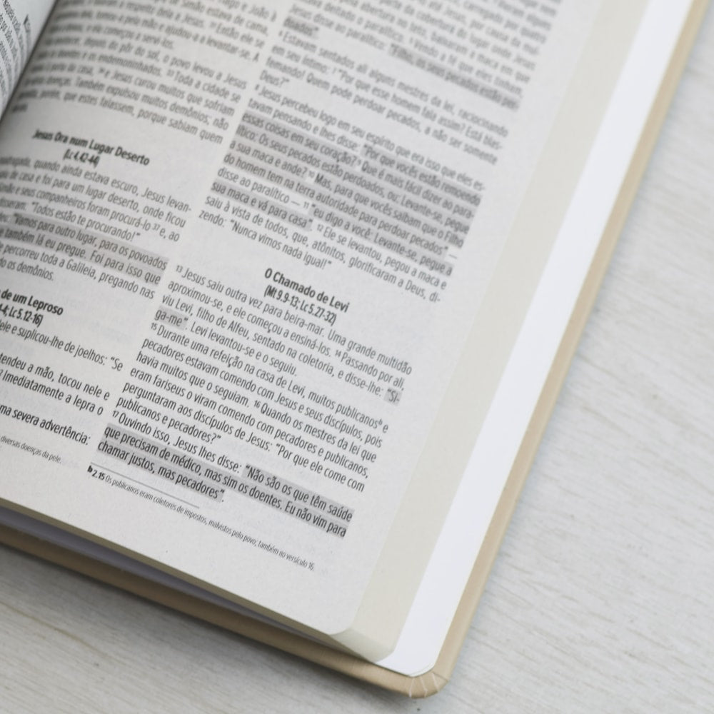 Bíblia Sagrada Cordeiro e Leão | NVI | Letra Normal | Capa Dura